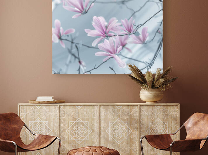 Magnolia flowers by Assaf Frank