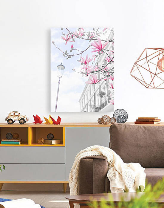 Magnolia flowers by Assaf Frank