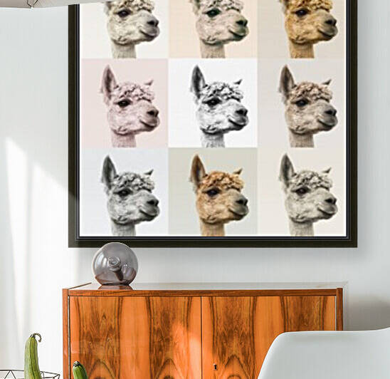 Collage of Alpacas in multicolour by Assaf Frank