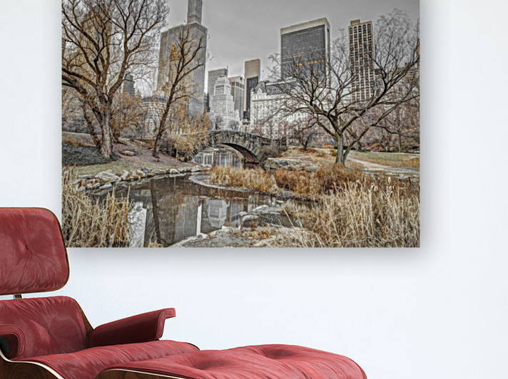 Central park with Manhattan skyline, New York by Assaf Frank