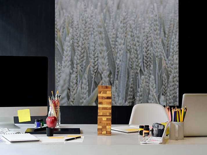 Wheat field by Assaf Frank