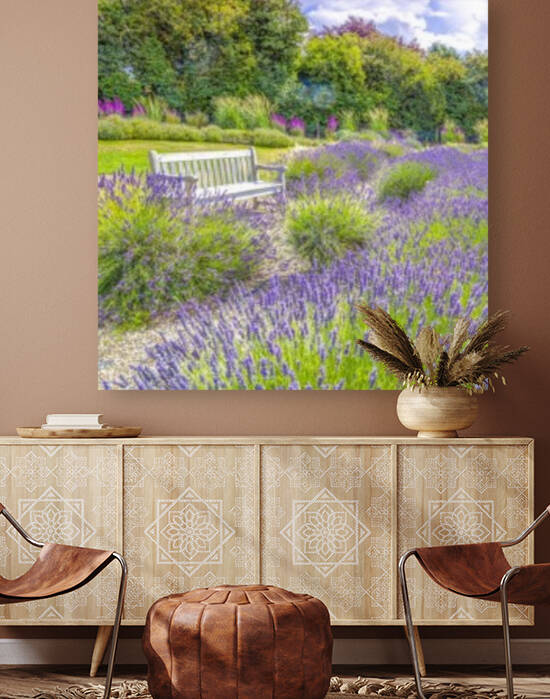 Lavender field by Assaf Frank