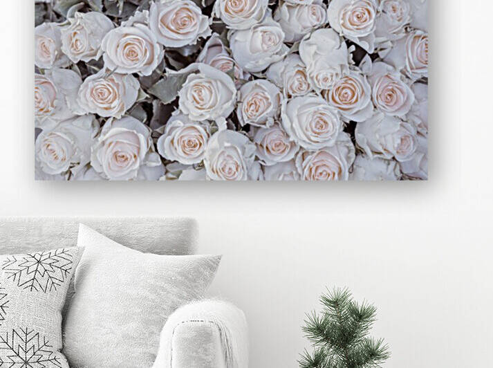 Full frame of Roses by Assaf Frank