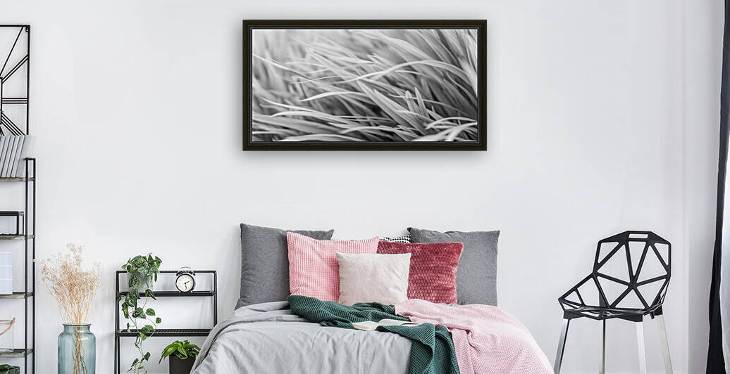 Flowing Grass by Assaf Frank