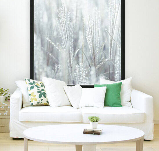 Japanese Silver Grass by Assaf Frank