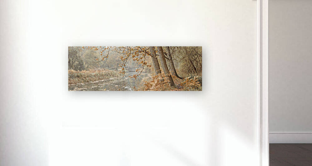 Canal through a forest by Assaf Frank