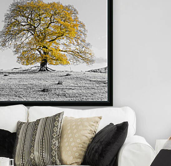 Tree on a hill, yellow, gold by Assaf Frank