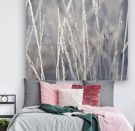 Frost on Grass by Assaf Frank