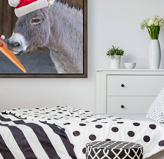 Donkey with Santa hat by Assaf Frank