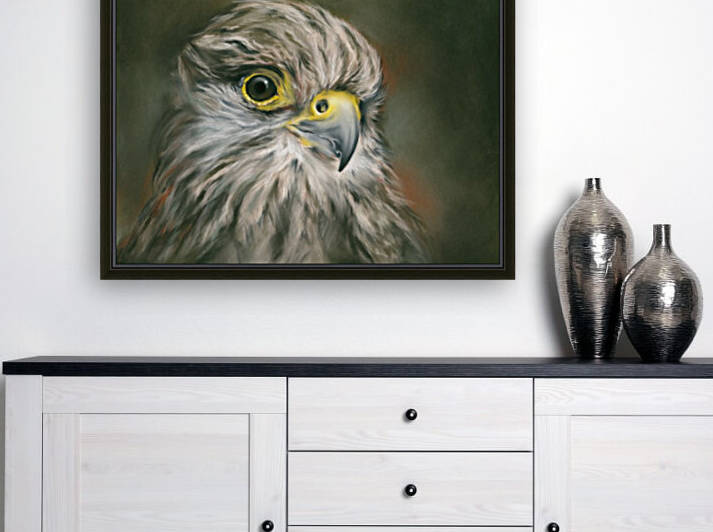 Kestrel Falcon Bird Portrait by MM Anderson