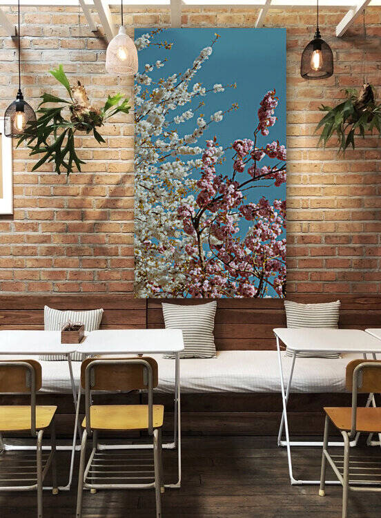 blossoms by Keaton Van Dyke