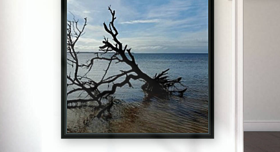 The Serene Sound by The NC Geek