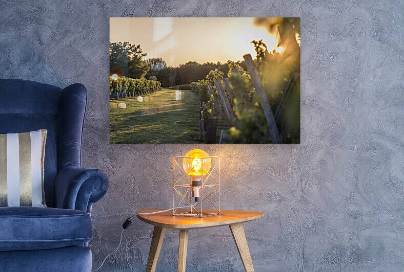 Lussac by Fabien Dormoy