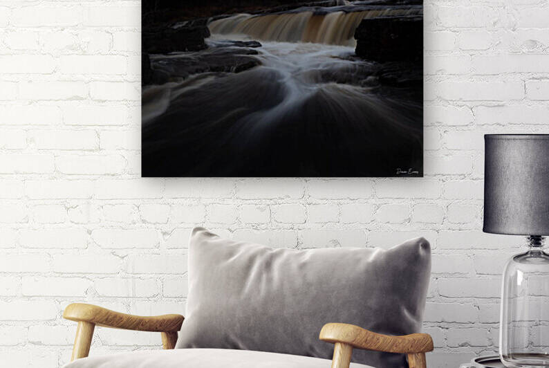 Manuels River by Dawn Evans