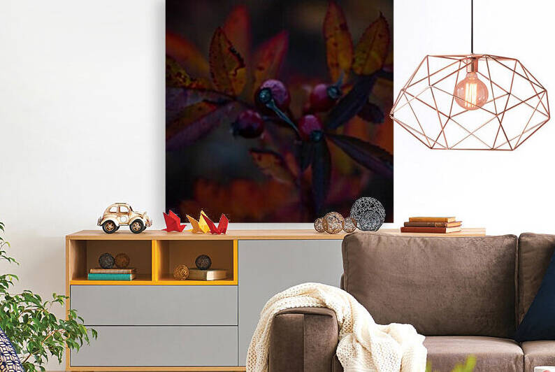 Fall foliage by Dawn Evans