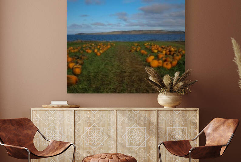 Taylors Pumpkin Patch by Dawn Evans