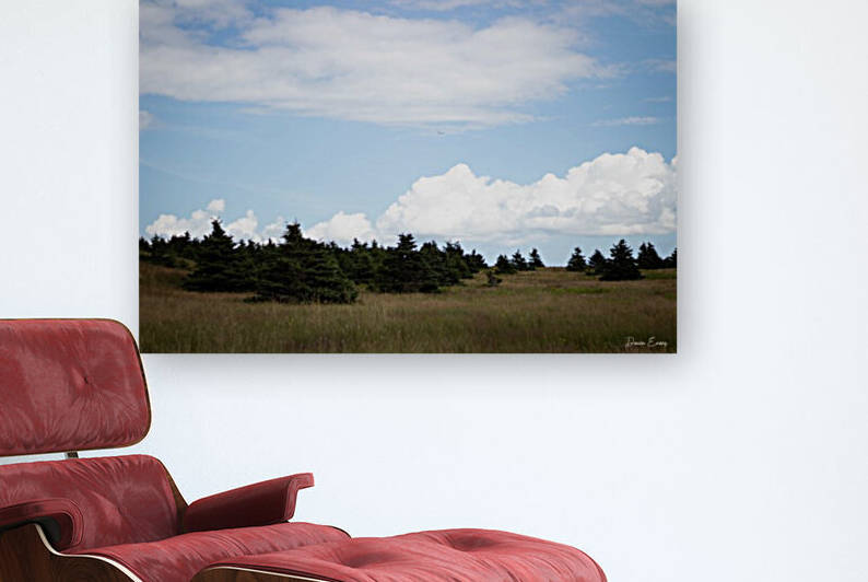 Bell Island by Dawn Evans