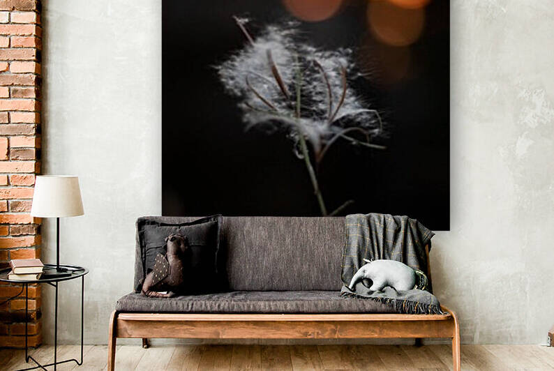 Sunset by Dawn Evans