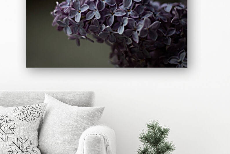 Lilacs by Dawn Evans