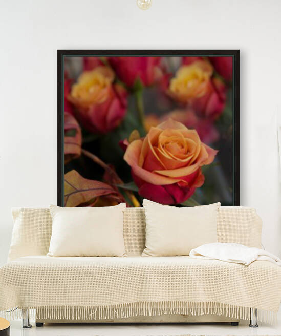 IMG_3146 1_edited 1 by Lynn J Shore   Photographist