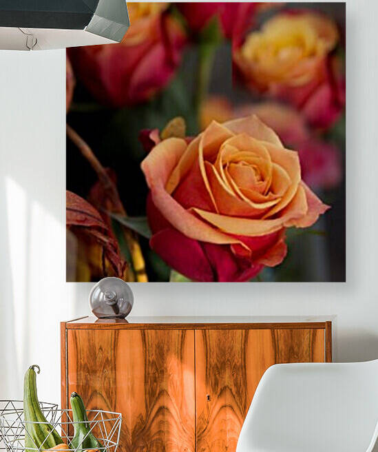 IMG_3146_edited 4 by Lynn J Shore   Photographist