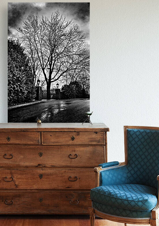 Dark ambiance tree by Jacques Frenette