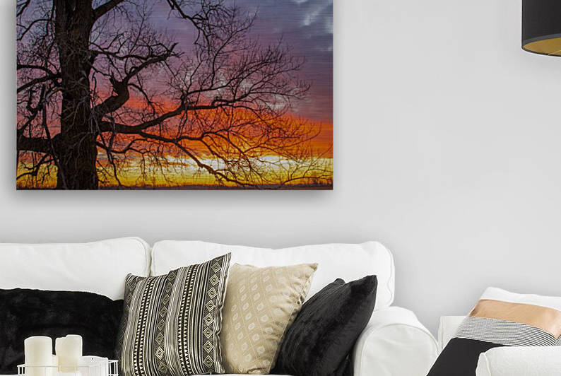 Sunset in the Buena Vista Grassland by Joe Riederer