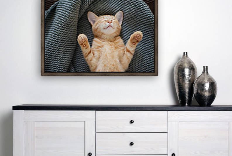 Red kitten sleeps II by Aquamarine