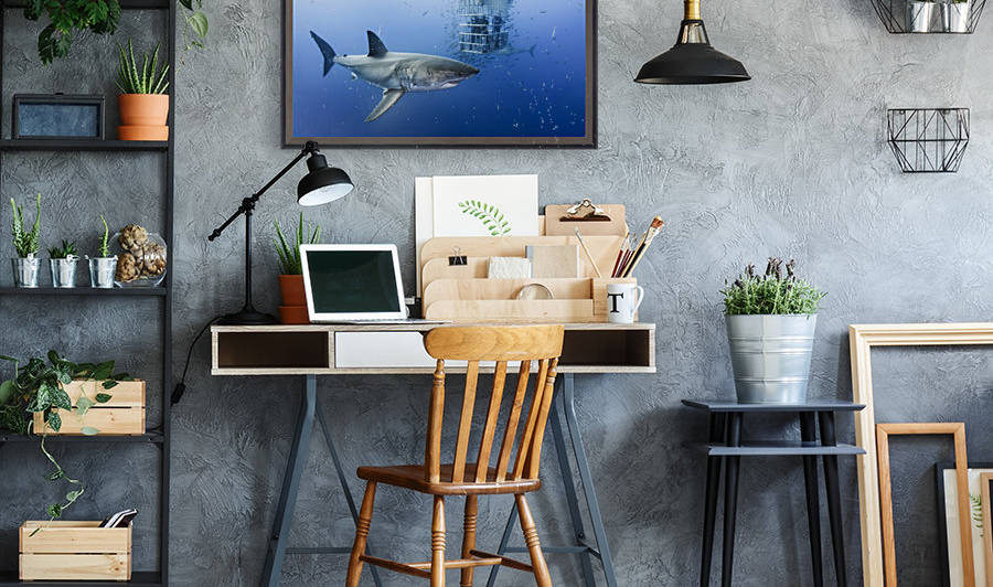 Animals in cage by 1x