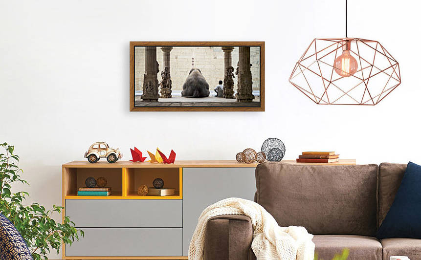 The Elephant & its Mahot by 1x