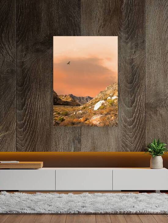 Desert and Mountains by Frank Wilson