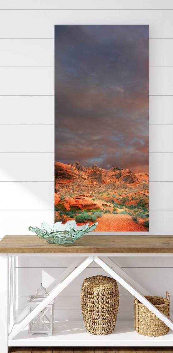 Desert Hiking Among The Sandstones by Frank Wilson