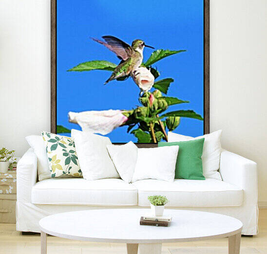 Hummingbird And Rose Of Sharon by Deb Oppermann