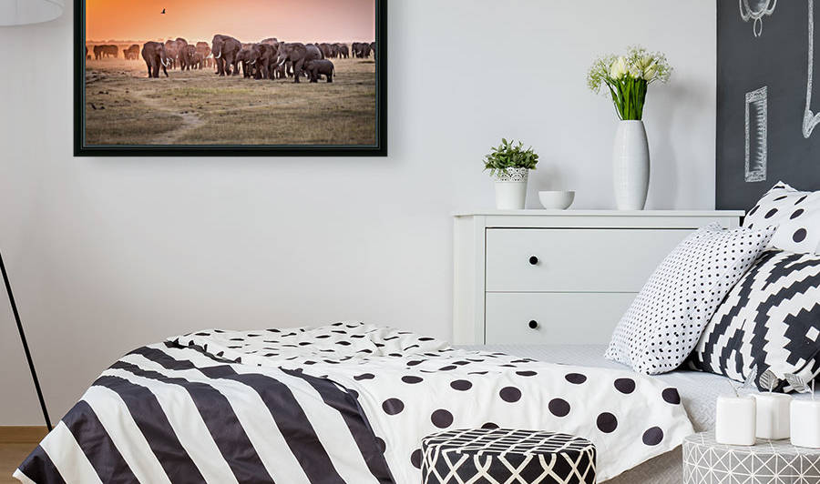 Amboseli Morning Stroll to Starbucks by 1x