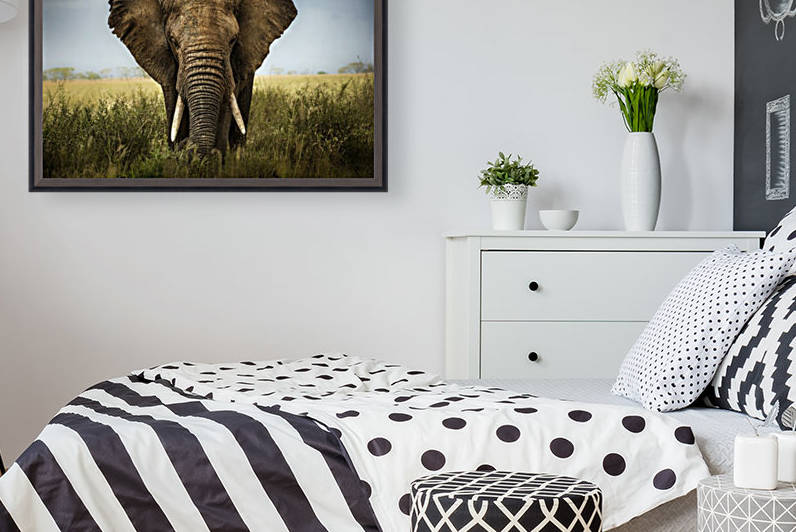 Encounters in Serengeti by 1x