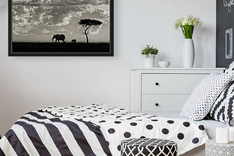 Silhouettes of Mara by 1x