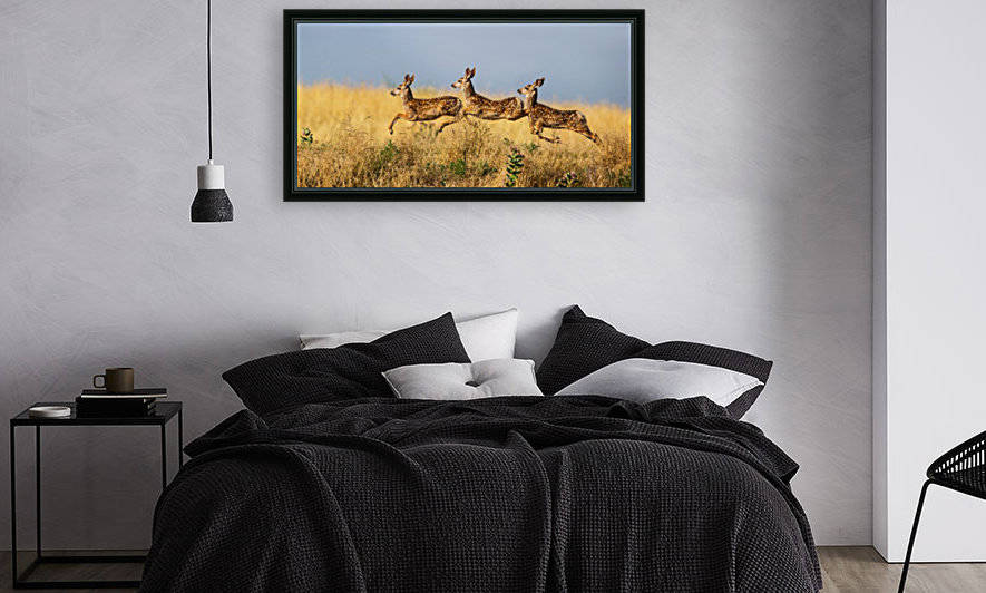 Tripple Jump by verdon   by 1x