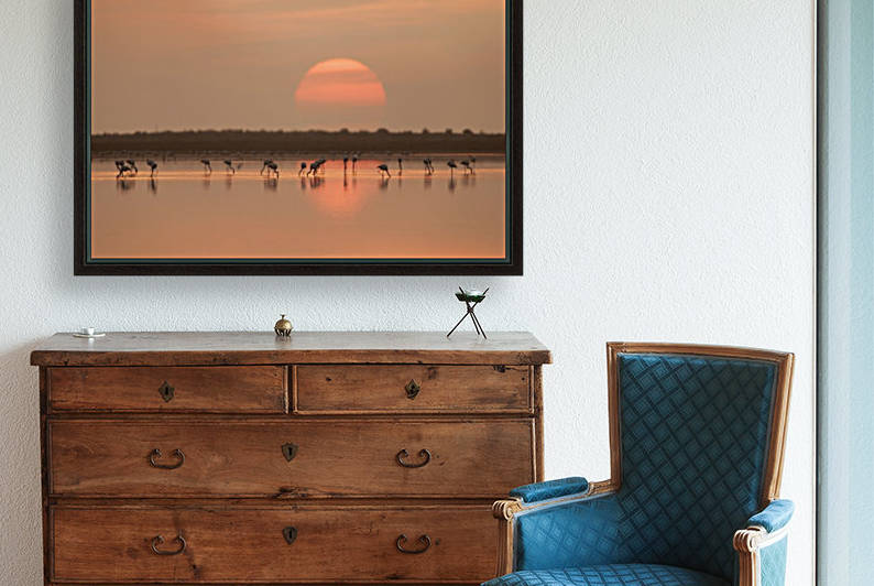 Flamingos at Sunrise by 1x