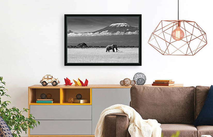 Lost Colors II by ibrahim canakci  by 1x