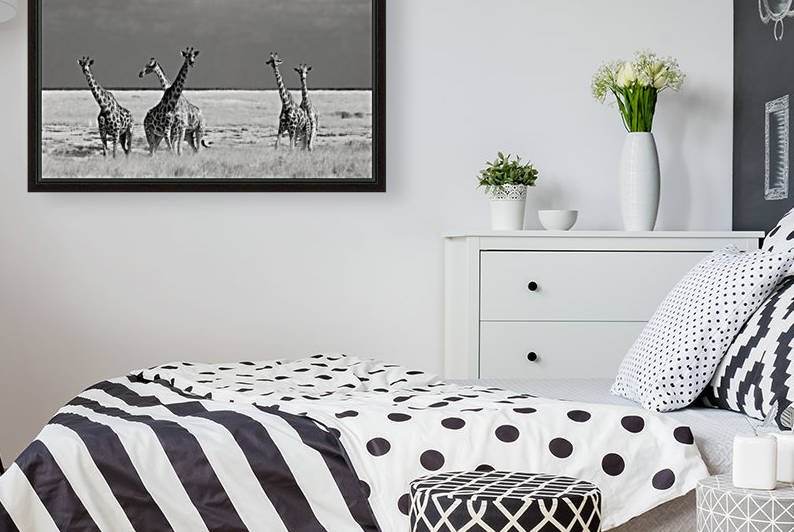 Look Girl Strange Animals by So Sad Mathilde by 1x