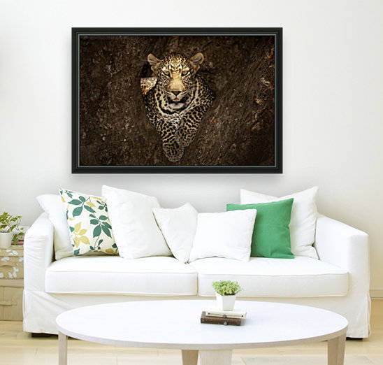 Leopard Resting on a Tree at Masai Mara by 1x