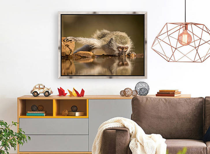 Reflection by Jaco Marx  by 1x