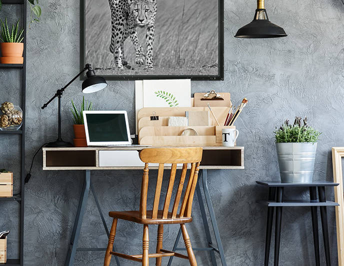 Focused predator by Jaco Marx  by 1x