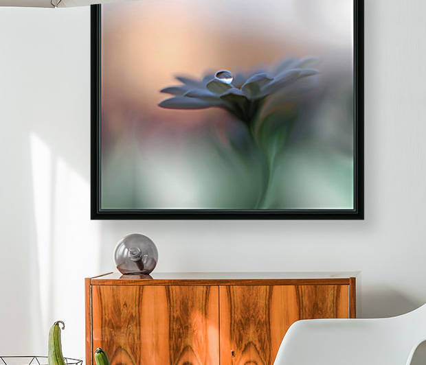 Eyes of the Light by Juliana Nan  by 1x