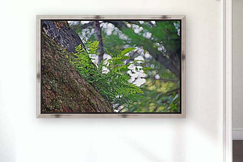 Fern Growing Up High by Deb Oppermann