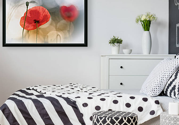 Morning Poppies by 1x