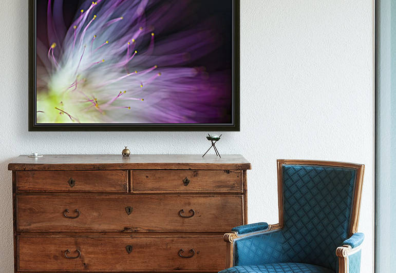 The Will-o-the-Wisp by 1x