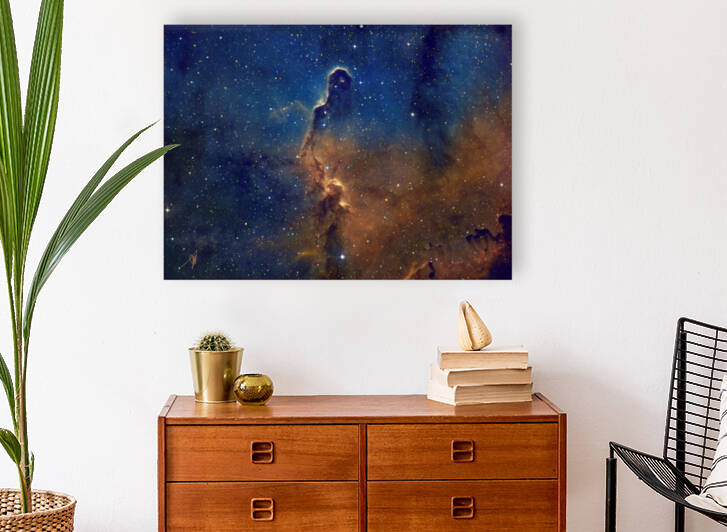 Elephant Trunk final 2 by John Myers