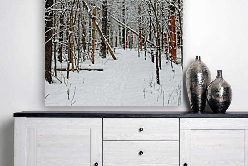 Cold And Crisp Winter Forest by Deb Oppermann