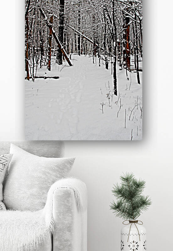 Cold And Crisp Winter Forest I by Deb Oppermann